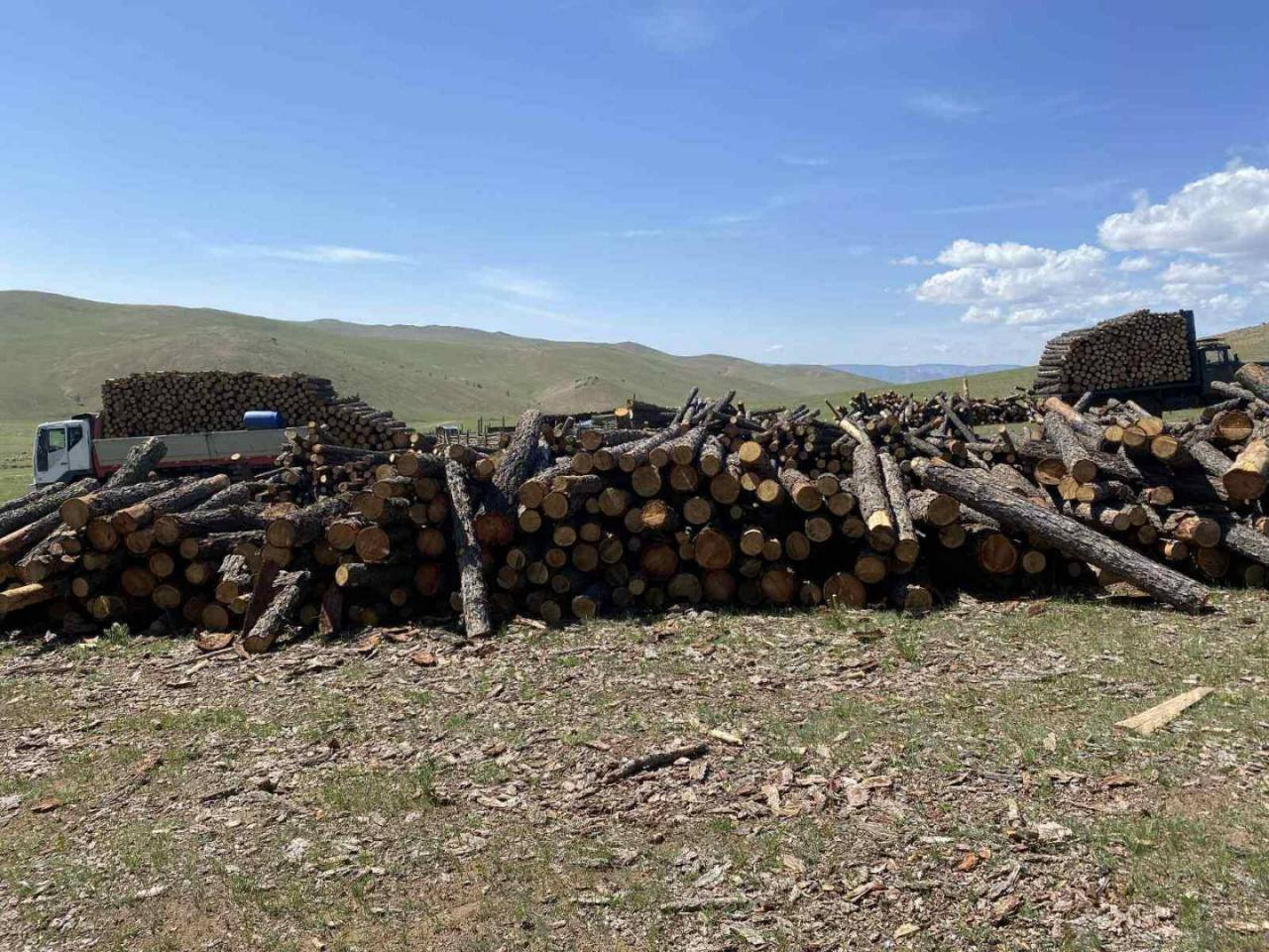 ОЙ, ОЙН ДАГАЛТ БАЯЛГИЙН ЧИГЛЭЛЭЭР УРЬДЧИЛАН СЭРГИЙЛЭХ ХЯНАЛТ ШАЛГАЛТ ХИЙГДЛЭЭ